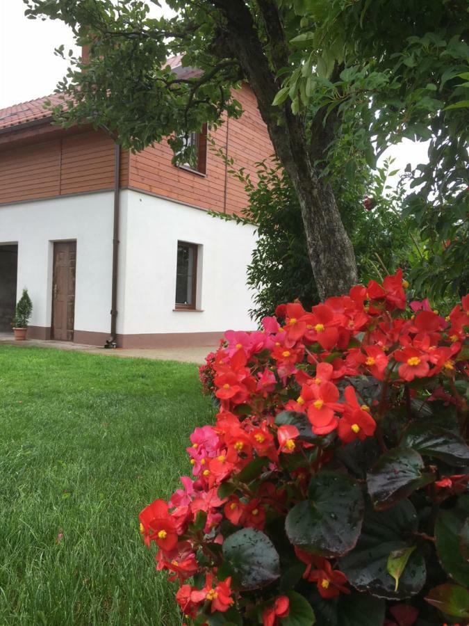 Pokoje Kasztanowa Wilkasy Exterior foto